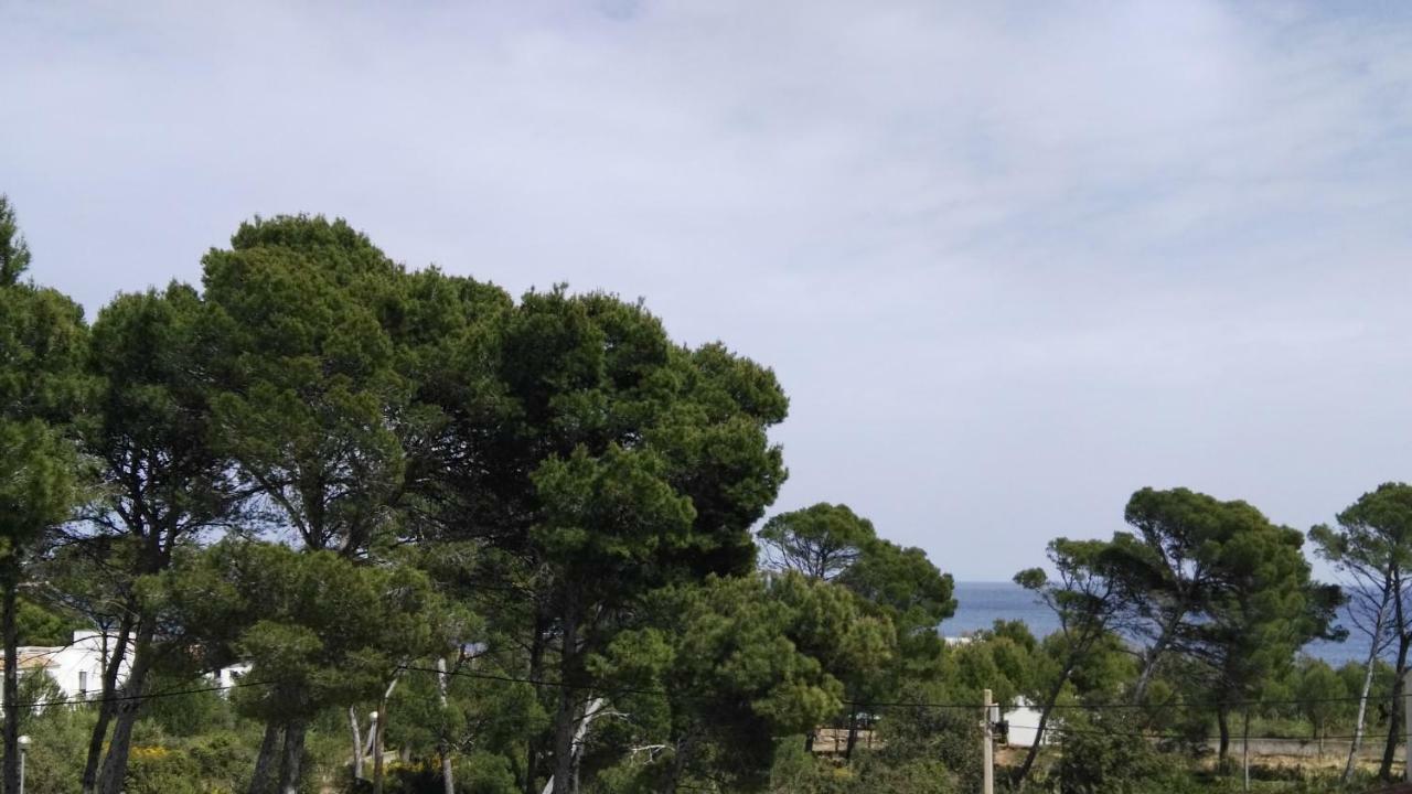 Willa Dream House Cala Ratjada  Zewnętrze zdjęcie